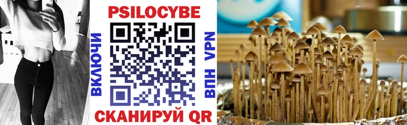 Псилоцибиновые грибы Psilocybine cubensis  Каргат 