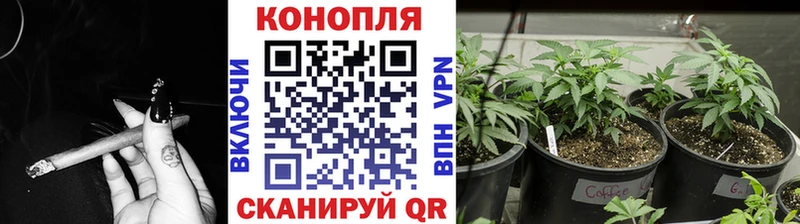 darknet телеграм  Каргат  Шишки марихуана гибрид  купить наркоту  OMG онион 